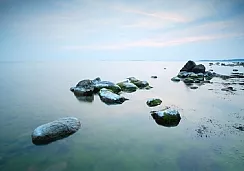 الصخور في الماء